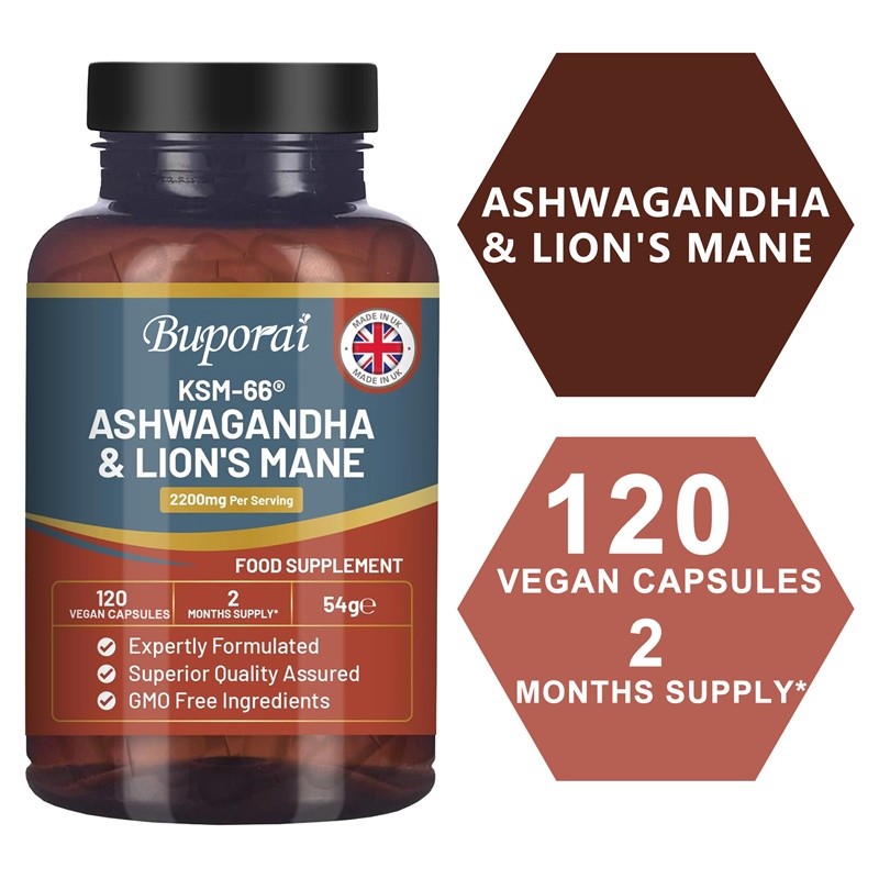 Ashwagandha and Lion’s Mane -  - Ginkgo Biloba Extract review and price
