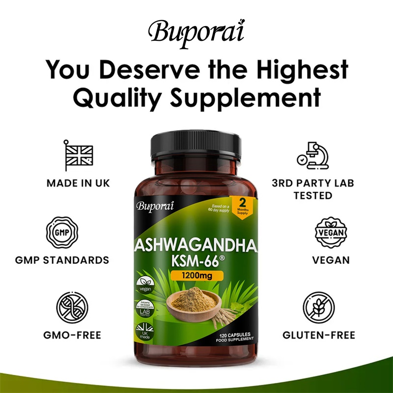 Ashwagandha KSM-66 1200mg - Su - Ginkgo Biloba Extract review and price